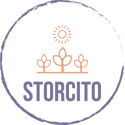 storcito-logo